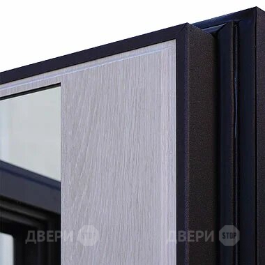 Входная металлическая Дверь Шелтер (SHELTER) Филадельфия Зеркало в Бронницах