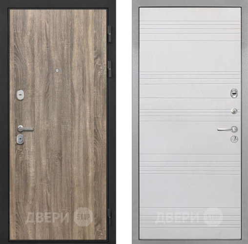 Входная металлическая Дверь Интекрон (INTECRON) Гектор Дуб Турин ФЛ-316 Белый ясень в Бронницах